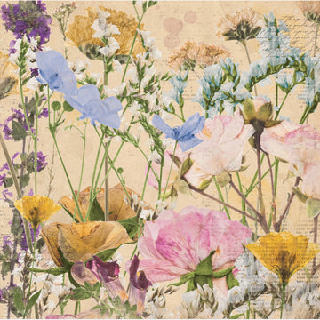 American Crafts Botanical Journal Double-Sided Cardstock 12"X12" 25/Pkg - Flowers