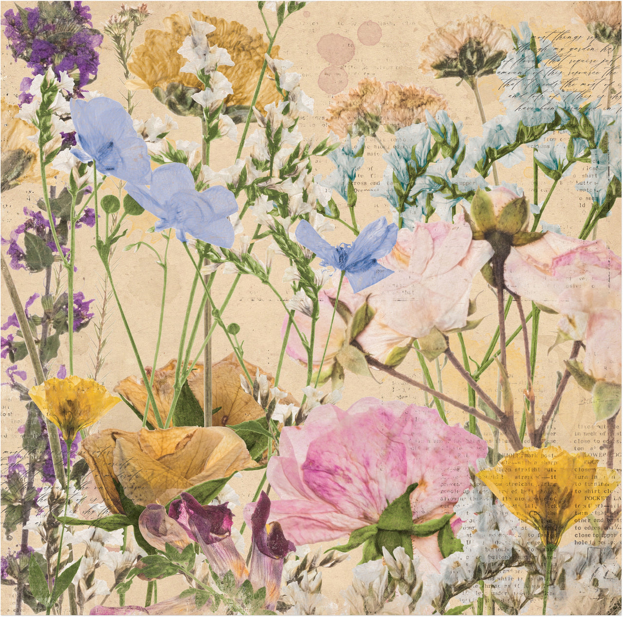 American Crafts Botanical Journal Double-Sided Cardstock 12"X12" 25/Pkg - Flowers