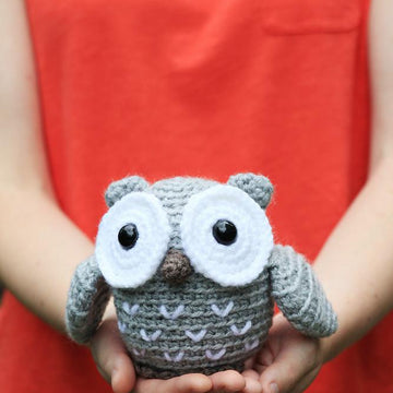 Little Koko the Owl