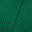 Christmas Green (864)