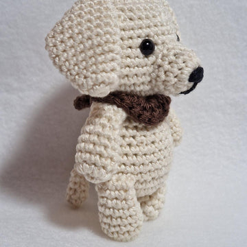 Labrador Retriever Dog