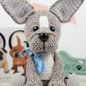 Cookie the French Bulldog
