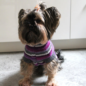 Kaya dog sweater (XS)
