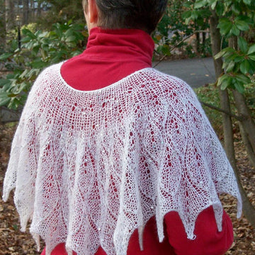 Leaves in Winter shawl