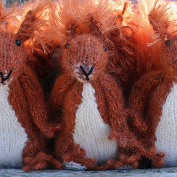 Red Squirrel Sisters