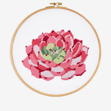 Pink Echeveria Succulent in DMC - PAT0560 - Downloadable PDF
