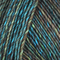 Iris (6888)