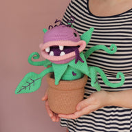 Clarence The Peckish Plant