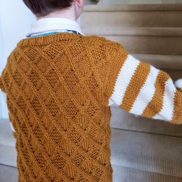 Aldwyn Pullover for Kids