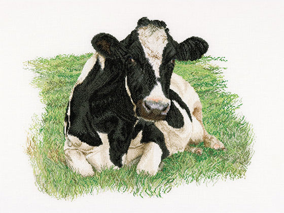 Thea Gouverneur Bv Fresian Cow 2 Cross Stitch Kit - 60cm x 45cm