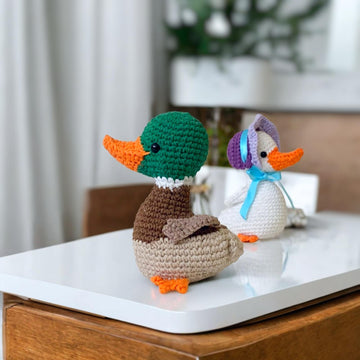 Bonnet Duck and mallard duck