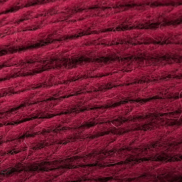 Cascade Yarns Eco+