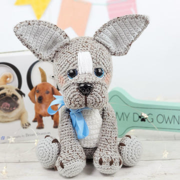 Cookie the French Bulldog