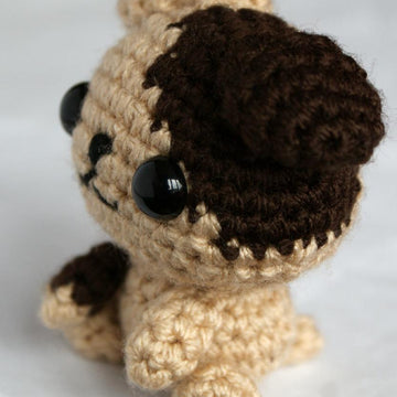 Cute Little Dog