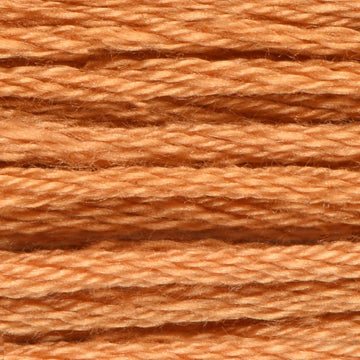 Bright Rusty Orange (VAS1267)