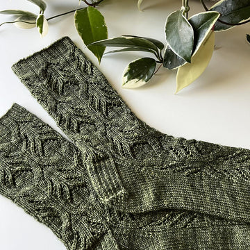 Hoya Socks