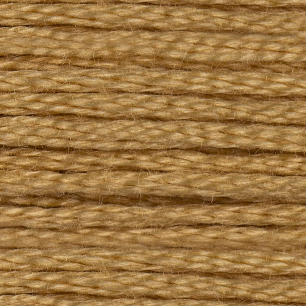 DMC 6 Strand Embroidery Floss - Neutrals