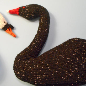 Baby Sister's Swan