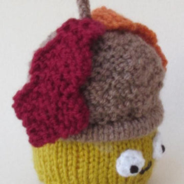 Acorn Chocolate Orange Cosy