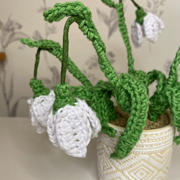 Nana's Snowdrop Flowers