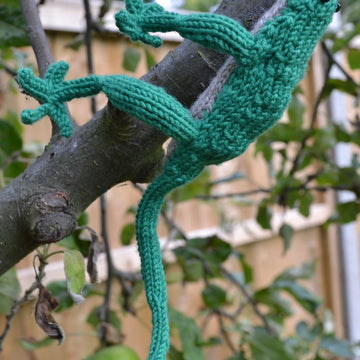 Lizard