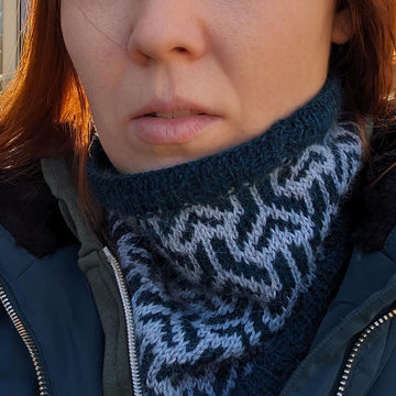 Tortoise Cowl