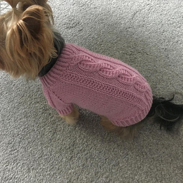 Pink Dog Sweater