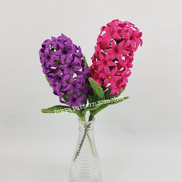 Hyacinth