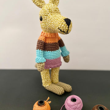 Benicio the chilly kangaroo