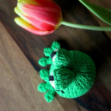 Babs the Frog