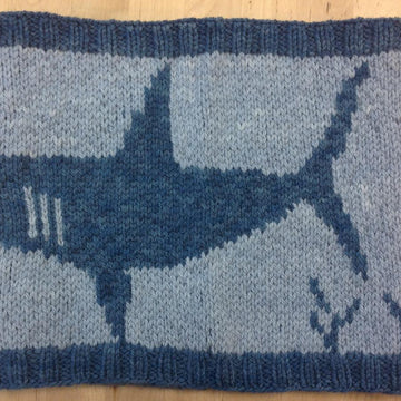 Shark!