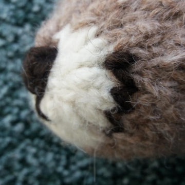 Cougar or mountain lion