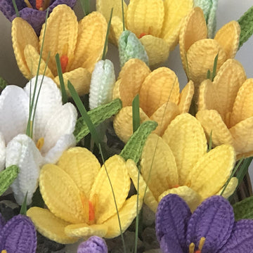 Crocus Crochet Pattern