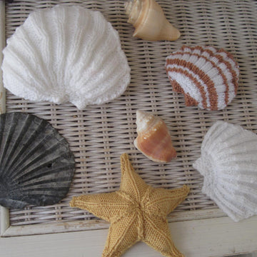 Scallop Shell