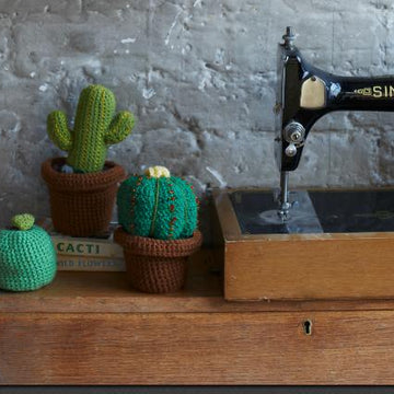 Desert Cactus Amigurumi Crochet Pattern