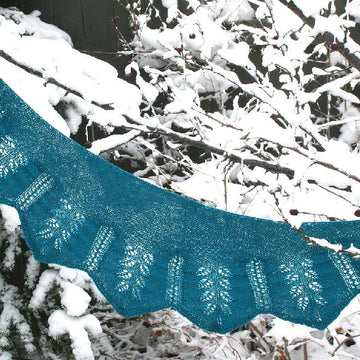 Winter Bloom