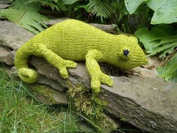Chameleon Leon