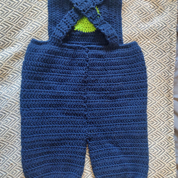 Dino Dungaree Overalls