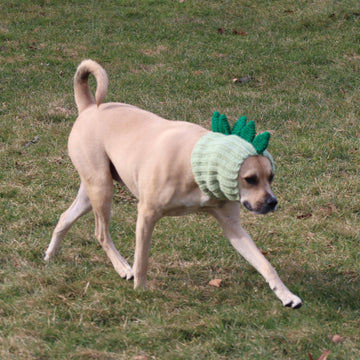 Dinosaur Dog Snood
