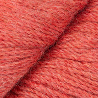 Salmon (AU111)