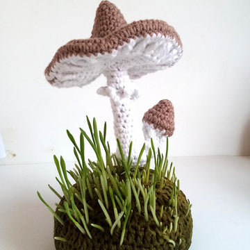 Mushrooms