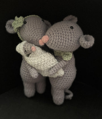 New baby Mice Gift