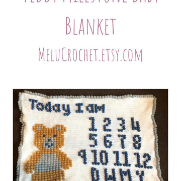 Teddy Milestone Blanket