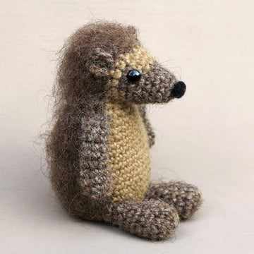 Flims the hedgehog