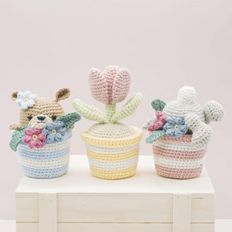 The Pots