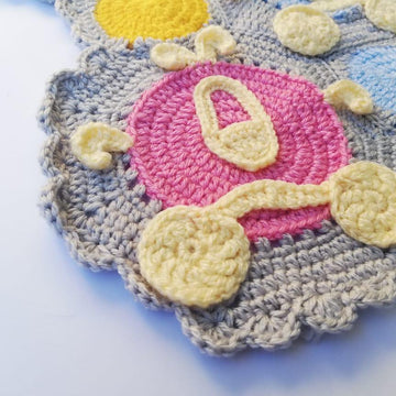 Cinderella carriage blanket