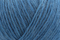 Blue Hydrangea (00903)