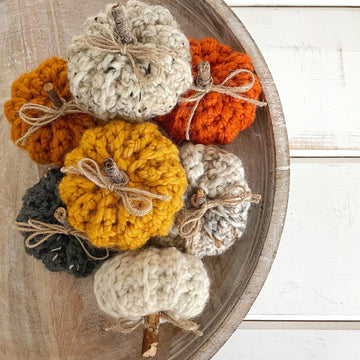 Mini Ribbed Pumpkins 086