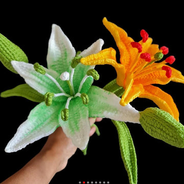 Lily flowers