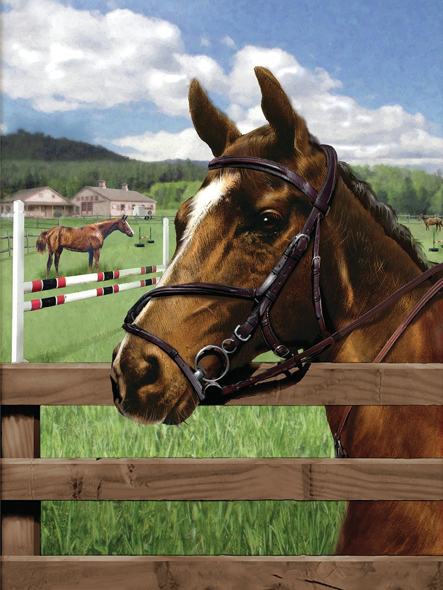 Royal Brush Junior Small Paint By Number Kit 8.75"X11.75" - Equine Paddock